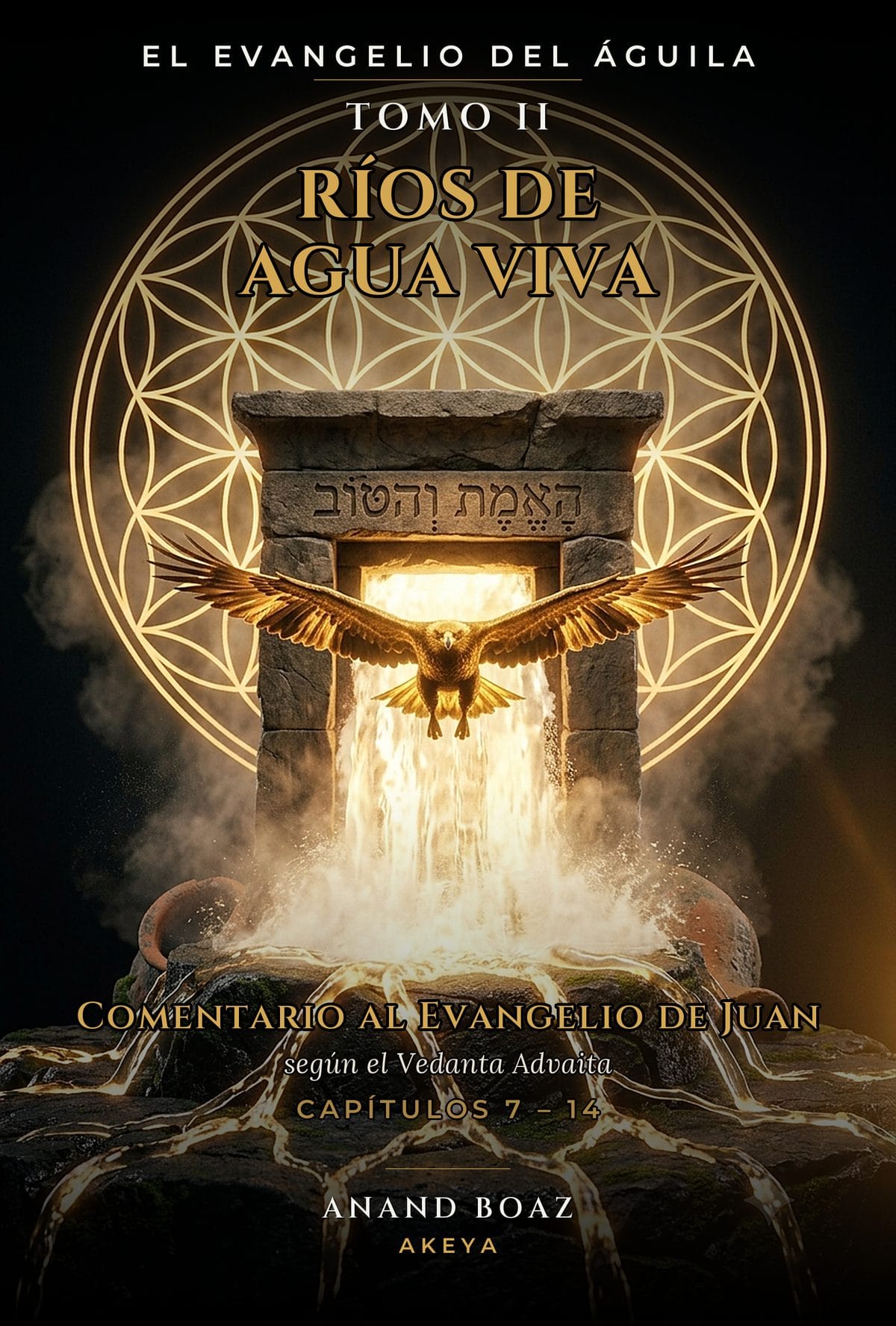 Portada de Ríos de agua viva